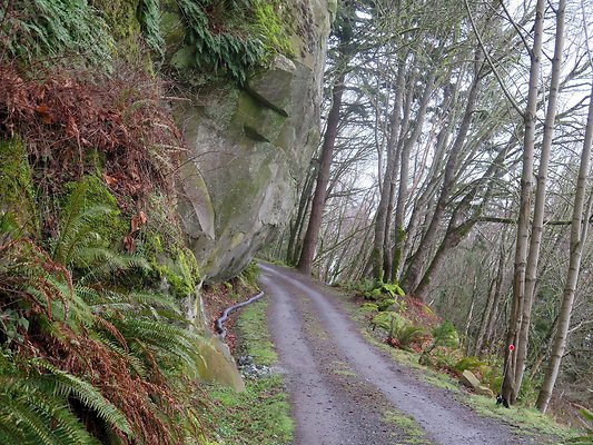 chuckanut mt house - 184