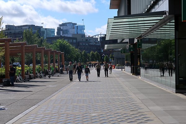 Seattle Waterfront August 2025 - 416