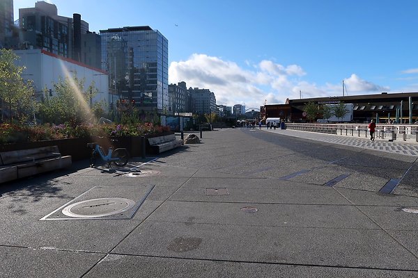 Seattle Waterfront August 2025 - 263