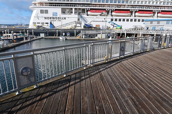 Seattle Waterfront August 2025 - 333