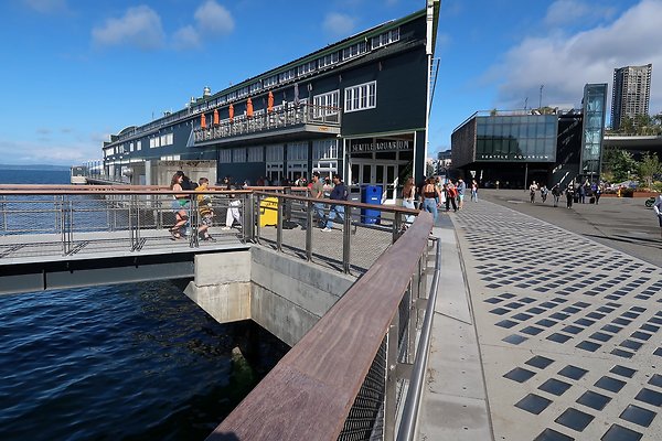 Seattle Waterfront August 2025 - 371