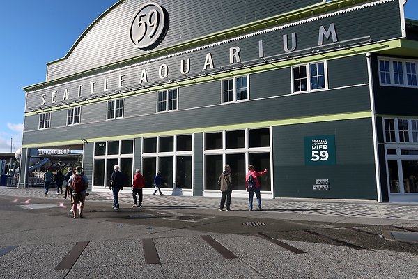 Seattle Waterfront August 2025 - 270