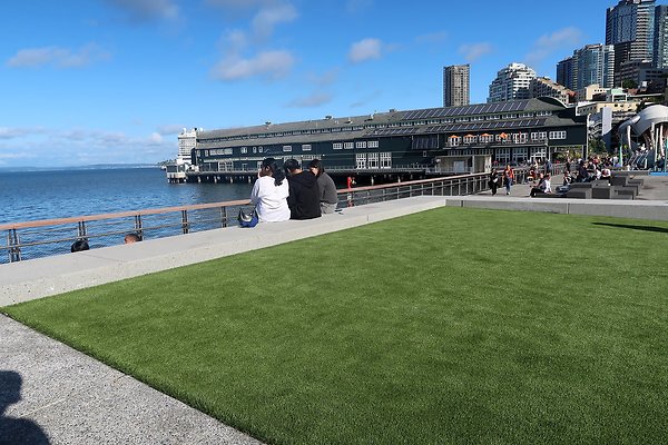 Seattle Waterfront August 2025 - 385