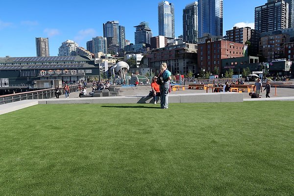 Seattle Waterfront August 2025 - 386