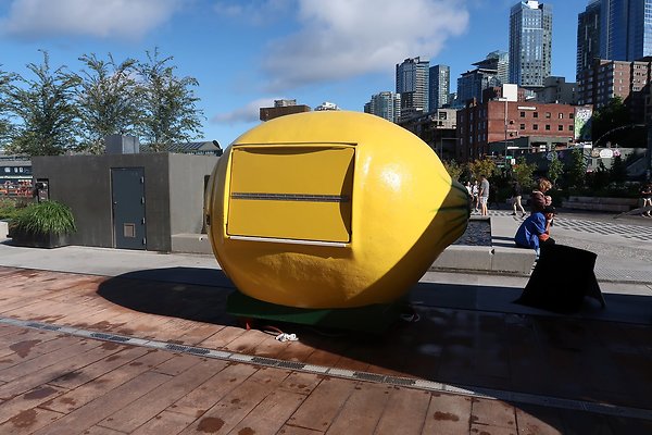 Seattle Waterfront August 2025 - 397