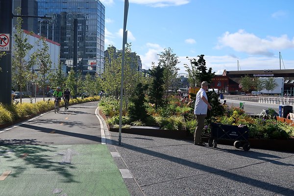 Seattle Waterfront August 2025 - 363
