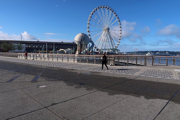 Seattle Waterfront August 2025 - 264