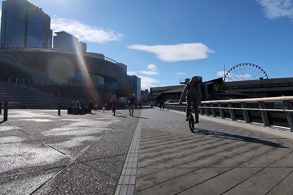 Seattle Waterfront August 2025 - 344