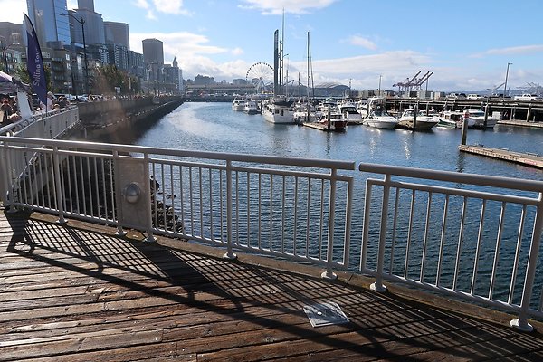 Seattle Waterfront August 2025 - 331