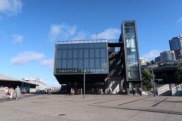 Seattle Waterfront August 2025 - 271