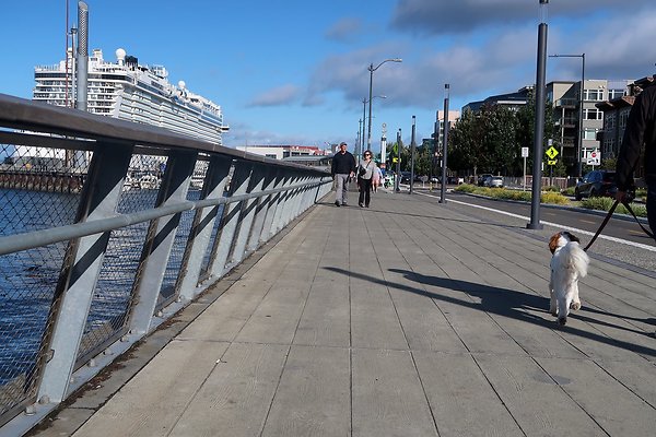 Seattle Waterfront August 2025 - 315