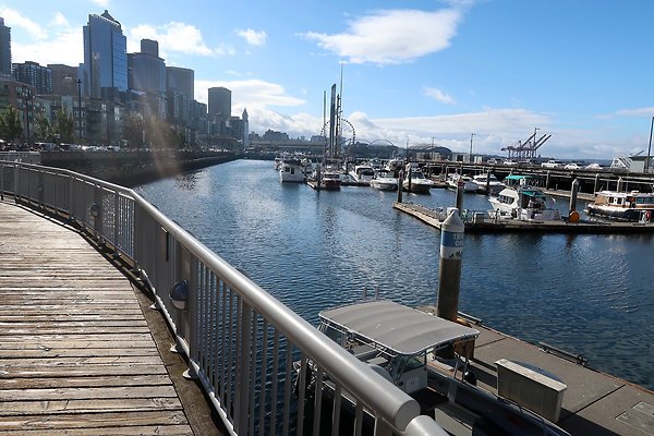 Seattle Waterfront August 2025 - 338