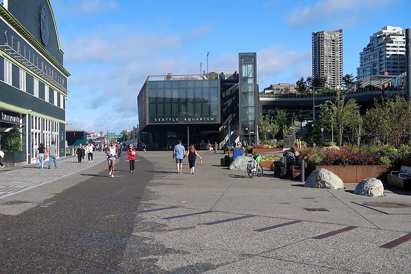 Seattle Waterfront August 2025 - 261