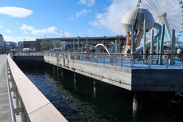 Seattle Waterfront August 2025 - 368