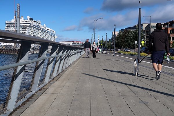 Seattle Waterfront August 2025 - 316
