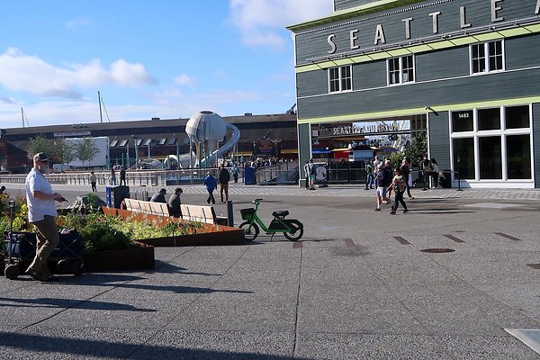 Seattle Waterfront August 2025 - 364