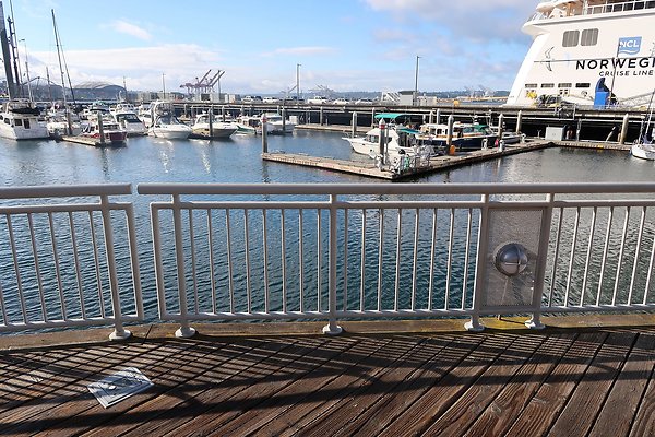 Seattle Waterfront August 2025 - 332