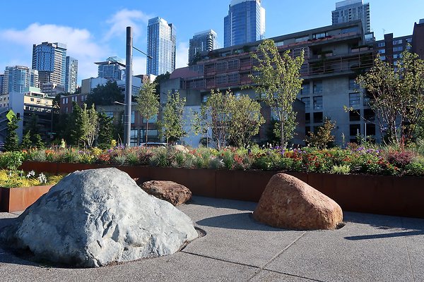 Seattle Waterfront August 2025 - 267