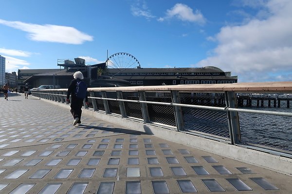 Seattle Waterfront August 2025 - 348