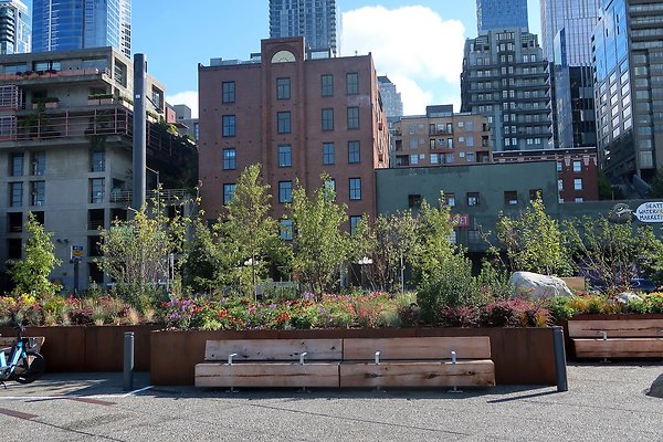 Seattle Waterfront August 2025 - 374