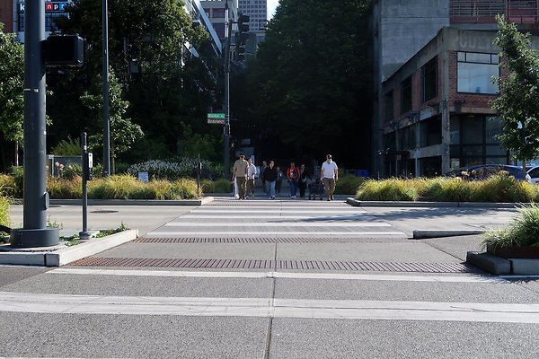 Seattle Waterfront August 2025 - 361