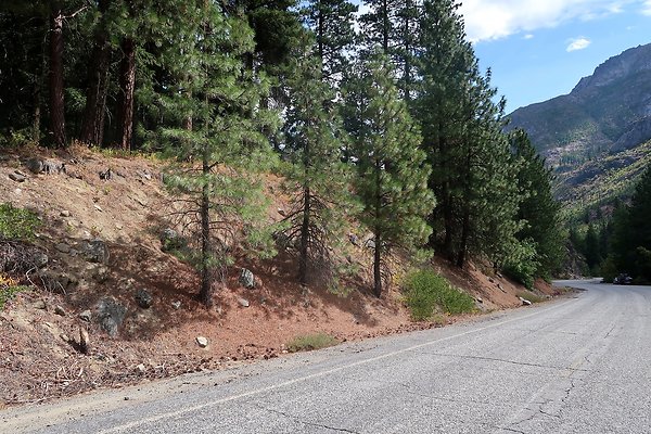 Icicle Creek Road 2025 - 7