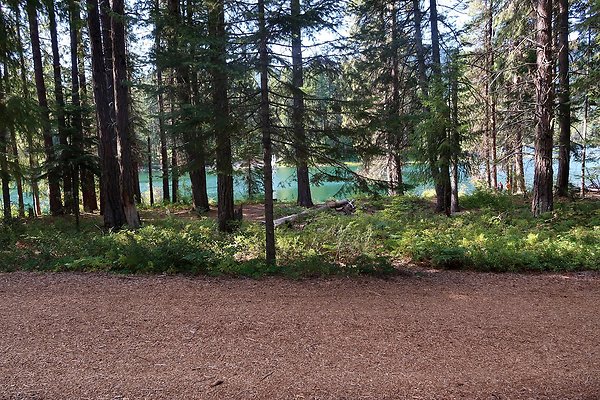 Lake Wenatchee State Park NOT CLEAR - 62