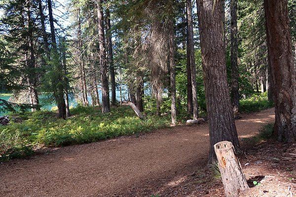 Lake Wenatchee State Park NOT CLEAR - 63