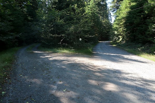 Skookum Flats Trailhead North USFS 2025 - 81