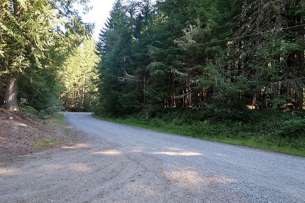 Skookum Flats Trailhead North USFS 2025 - 65
