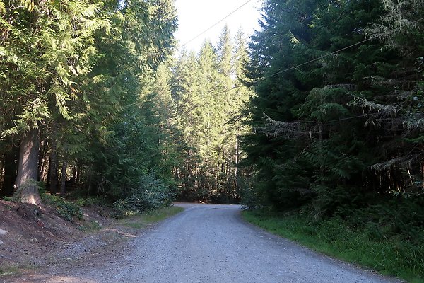 Skookum Flats Trailhead North USFS 2025 - 64