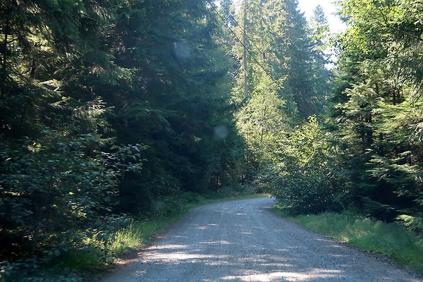 Skookum Flats Trailhead North USFS 2025 - 70