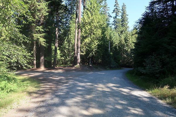 Skookum Flats Trailhead North USFS 2025 - 63