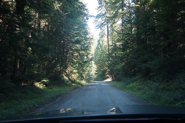 Skookum Flats Trailhead North USFS 2025 - 76