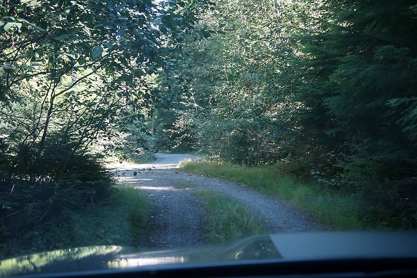 Skookum Flats Trailhead North USFS 2025 - 80