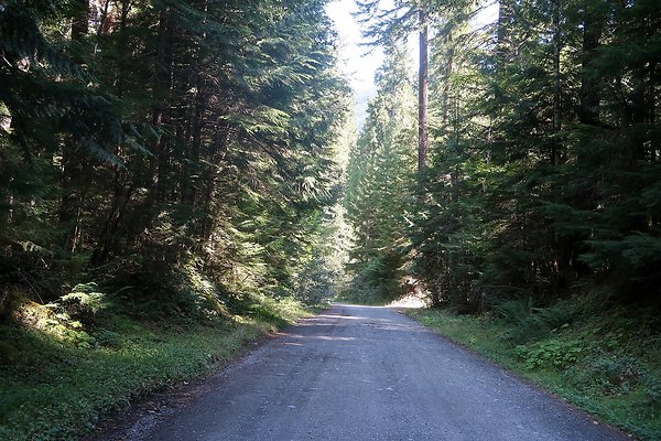 Skookum Flats Trailhead North USFS 2025 - 77