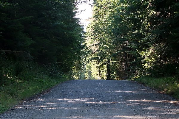 Skookum Flats Trailhead North USFS 2025 - 75