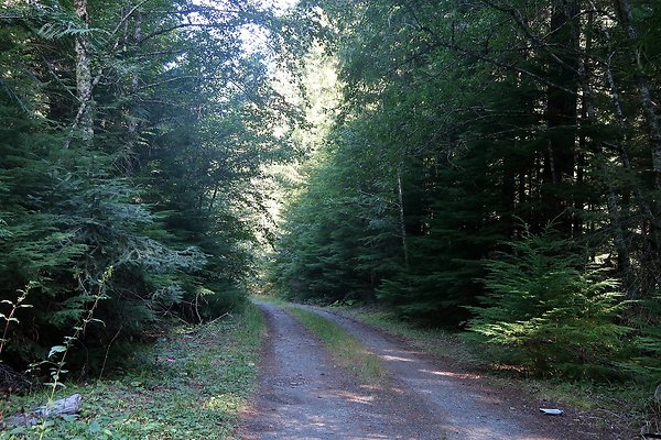 Skookum Flats Trailhead North USFS 2025 - 78