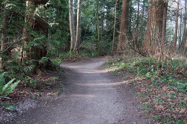 Lake Padden Park Bellingham - 18