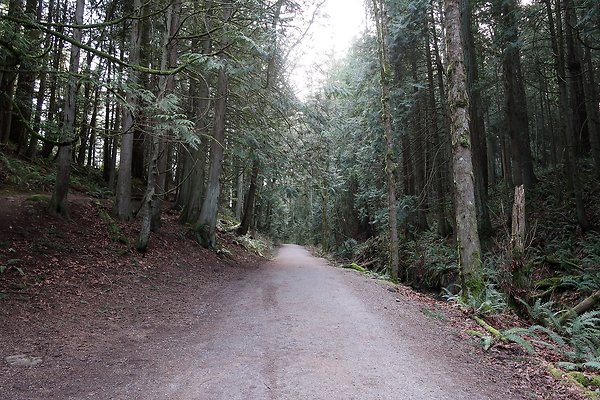 Lake Padden Park Bellingham - 102