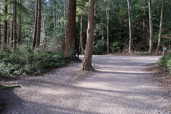 Lake Padden Park Bellingham - 11