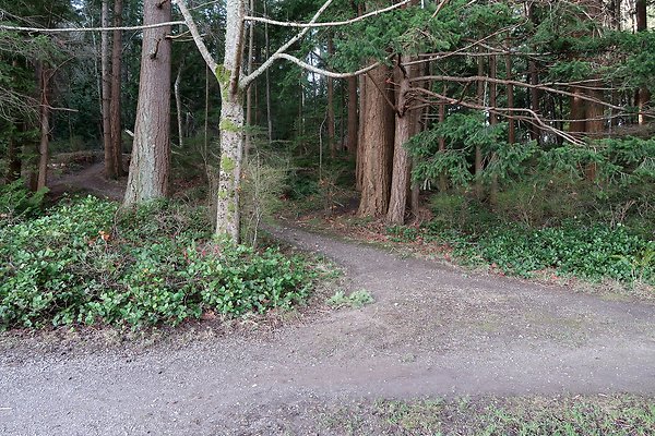 Lake Padden Park Bellingham - 113