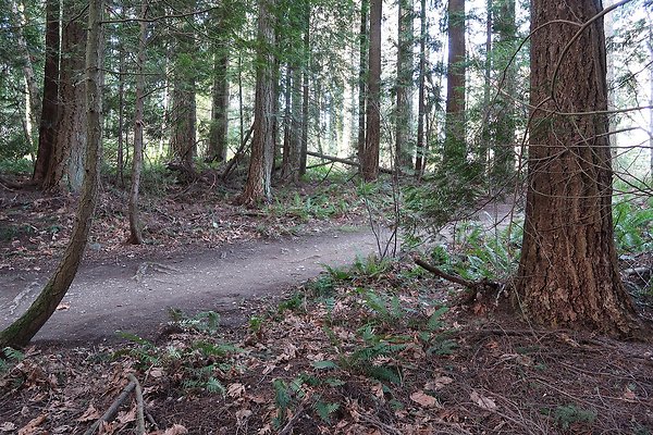 Lake Padden Park Bellingham - 40