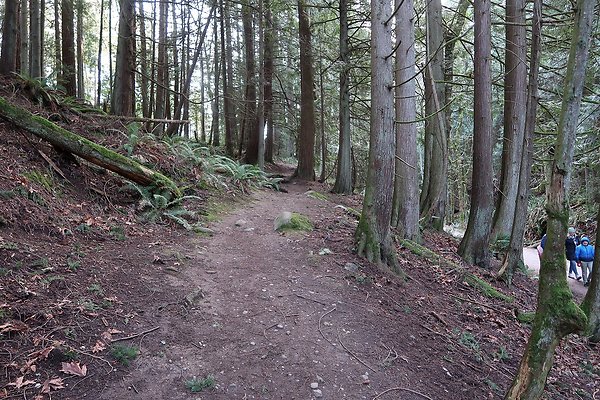 Lake Padden Park Bellingham - 83