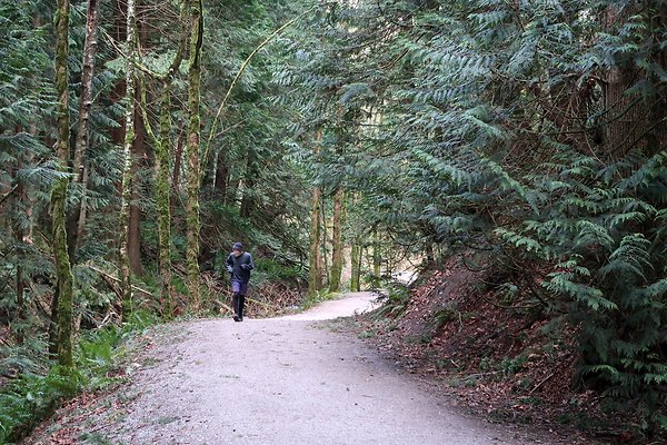 Lake Padden Park Bellingham - 78