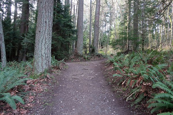 Lake Padden Park Bellingham - 27
