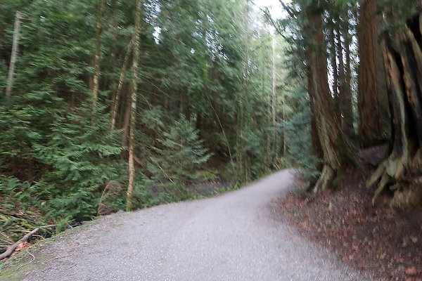 Lake Padden Park Bellingham - 76