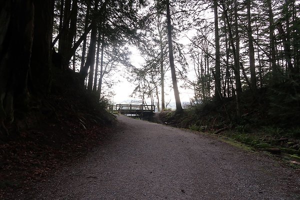 Lake Padden Park Bellingham - 105