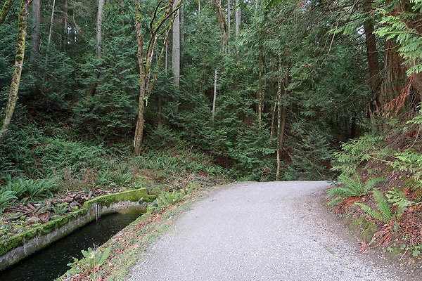 Lake Padden Park Bellingham - 74