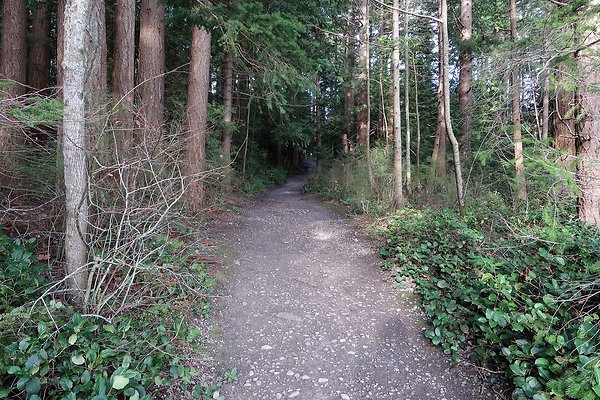 Lake Padden Park Bellingham - 54